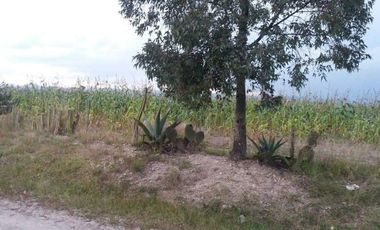 Terreno ubicado por carretera de apaseo