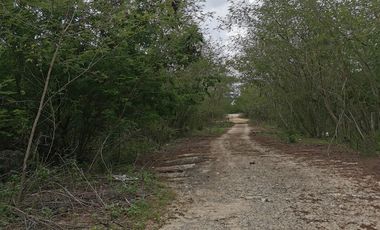 TErreno en venta o renta  a 9 min del periferico sur de Merida en Dzoyola.