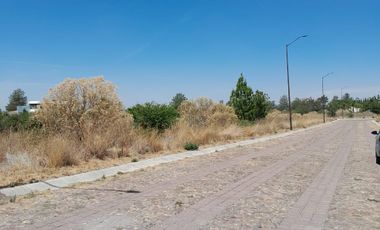 TERRENO EN VENTA EN VALLE DE LOS REYES