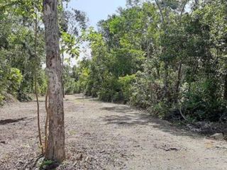 Terreno en venta, Tulum, Quintana Roo