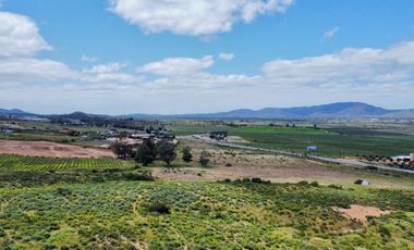 Valle de Guadalupe Terreno en Venta