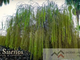 Terreno en Venta Residencial Los Sueños - ZONA RANCHO CONTENTO