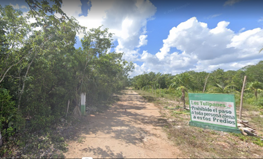 Terreno de 4,000 m2 a 1 km de la entrada de Cancún.