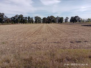 Terreno en Venta, Carretera Salamanca - La Ordeña