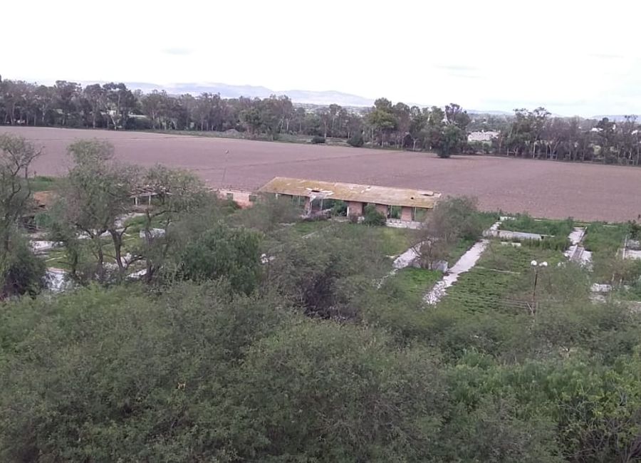 RANCHO AGRICOLA CON 139 HECTAREAS CON 5 POZOS, CONCESION AGUA, CASAS ...