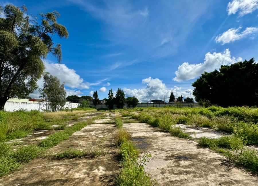 place photo 11