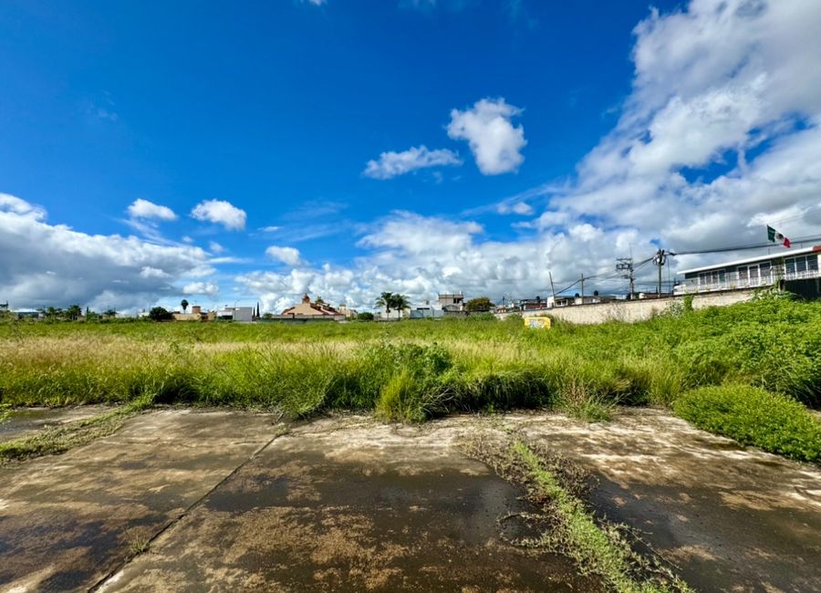 place photo 12