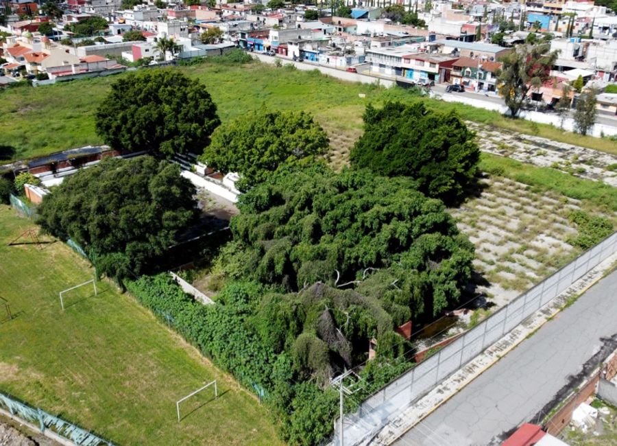 place photo 18
