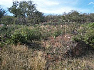 Lote campestre Sierra Gorda, Qro.