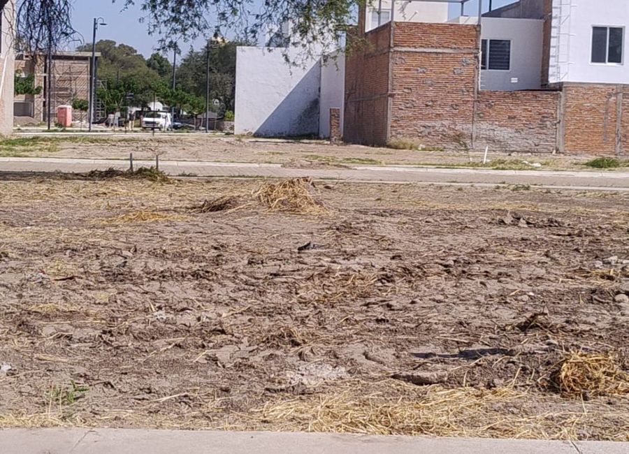 place photo 22