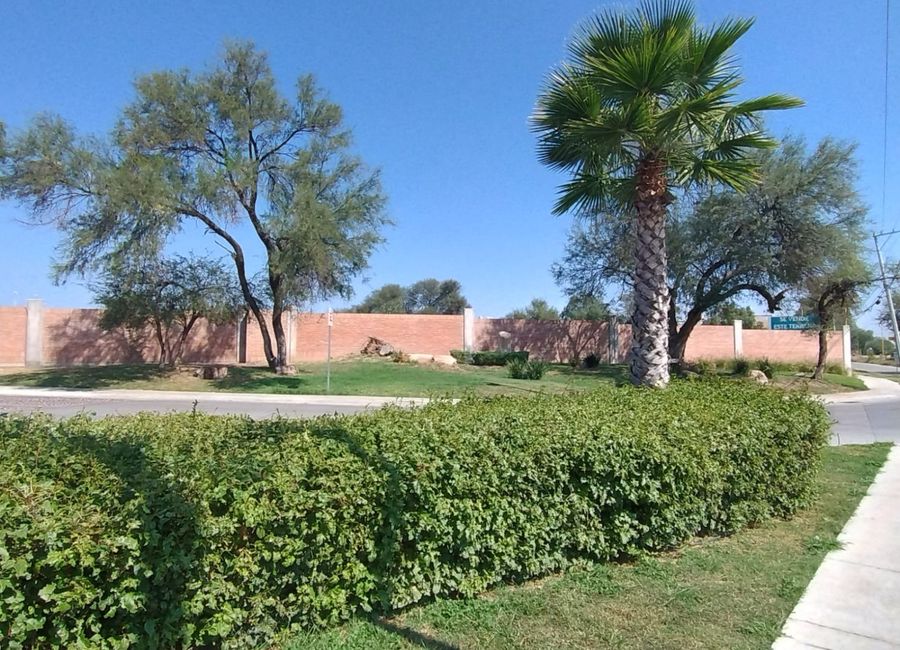 place photo 35