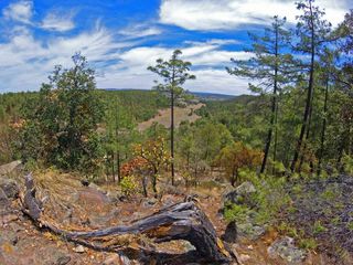 Terreno en Venta-Bosques de Montesión