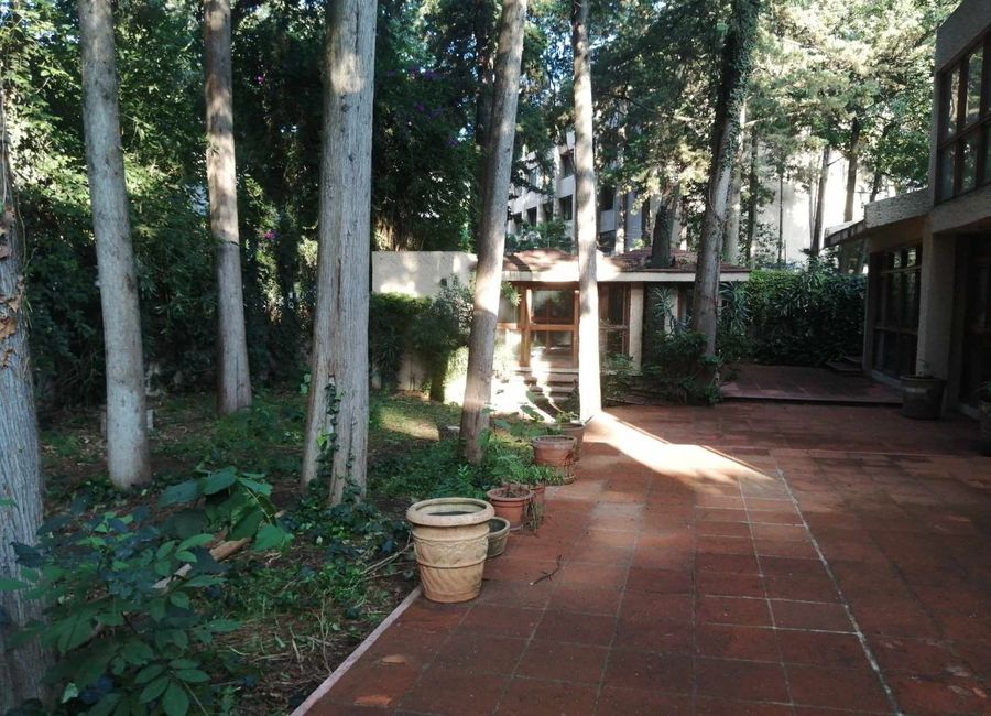 place photo 22