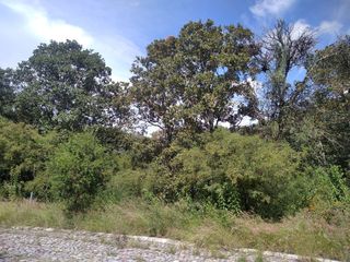 Haras del Bosque, fraccionamiento La Joya