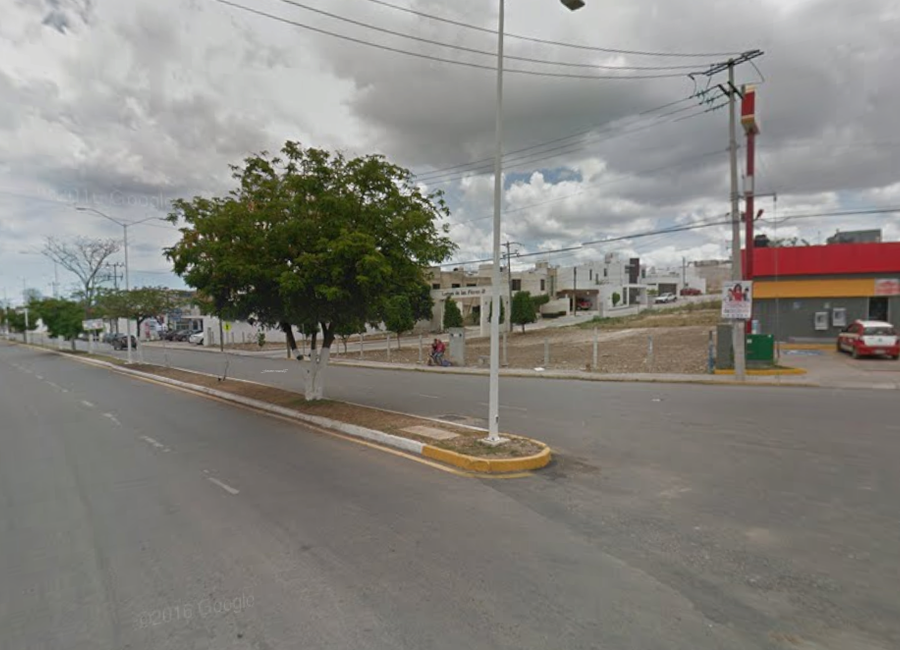 place photo 3