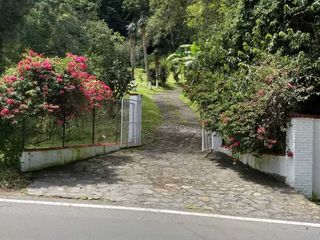 TEMASCALTEPEC EN VENTA TERRENO