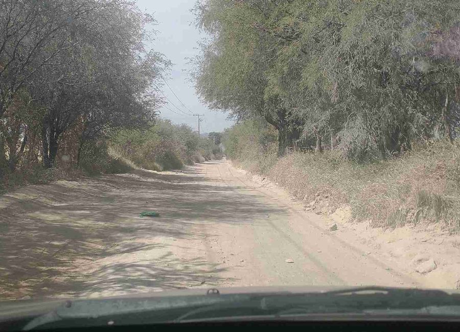place photo 5