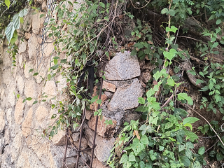 Terreno con uso de suelo habitacional en la colonia Seis de Enero de Acapulco