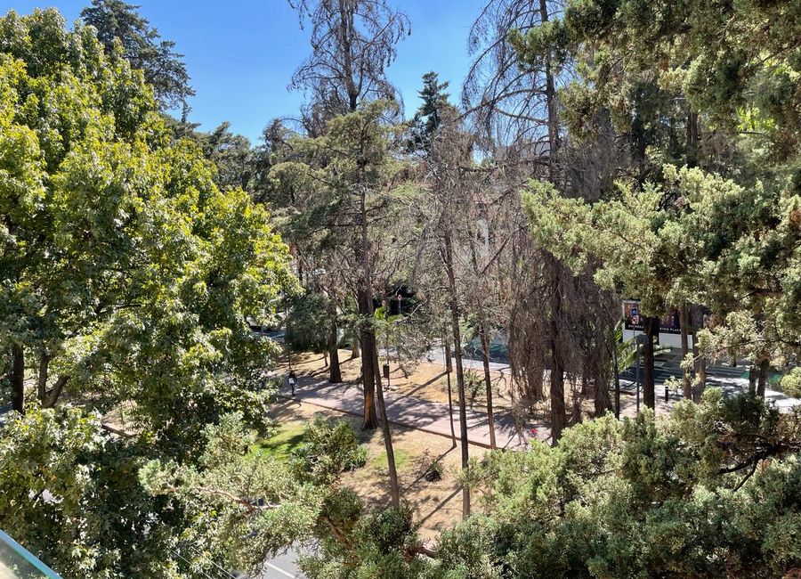 place photo 33
