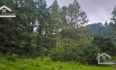 🌲✨ TERRENO EN VENTA – CAMINO A LA PEÑA DEL CUERVO, CARBONERAS, MINERAL DEL CHICO ✨🌲