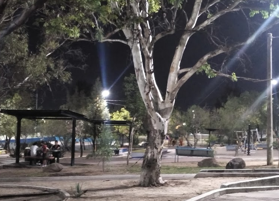 place photo 5