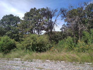 Amplio lote residencial en venta en Haras del Bosque 800 m2