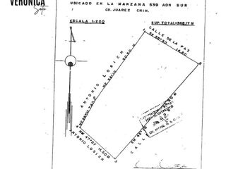 TERRENO COMERCIAL EN VENTA ZONA CENTRO