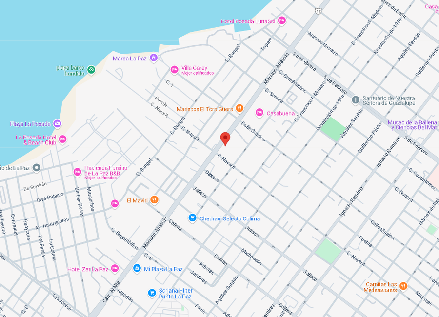 place photo 17