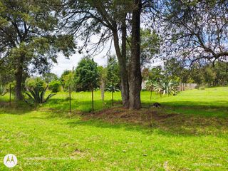 Hectarea en venta en Yauhquemehcan