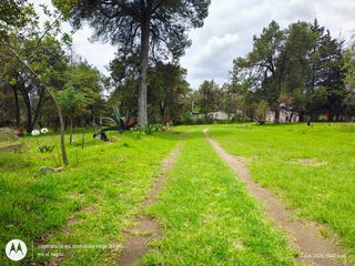 Lotes eco amigables en venta en Yauhquemehcan