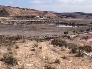 Terreno en venta | 4 hectáreas de potencial | Natal Valle de Guadalupe