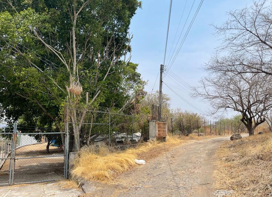 place photo 4