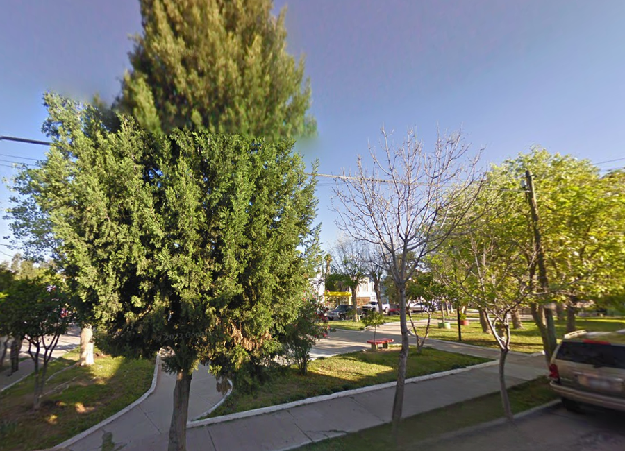 place photo 11