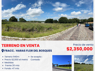 SE VENDE TERRENO EN FRACC. HARAS FLOR DEL BOSQUE, CERCA DE PERIFERICO ECOLÓGICO, FEDERAL A TEHUACAN.