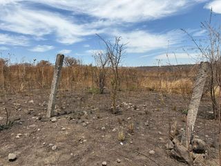 TERRENO EN VENTA EN TONALÁ