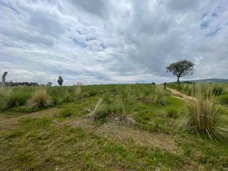 TERRENO PARAJE SAN AGUSTIN