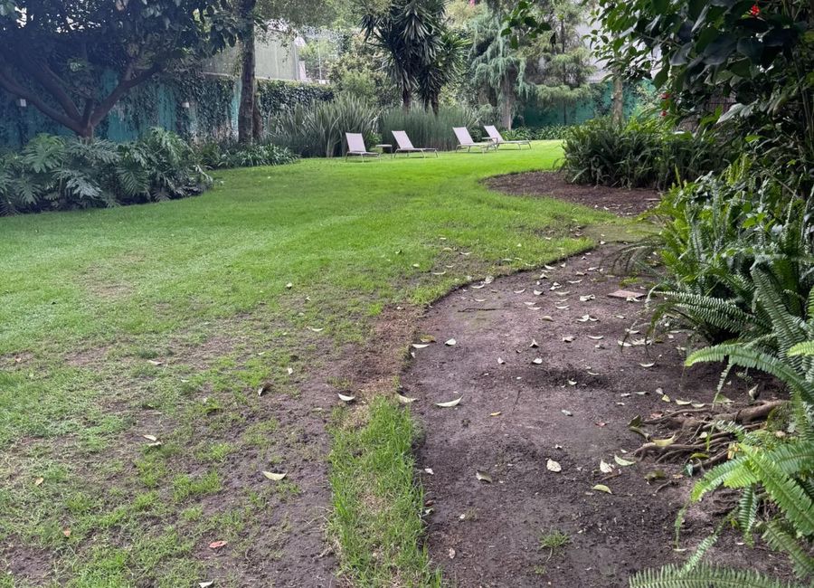 place photo 31