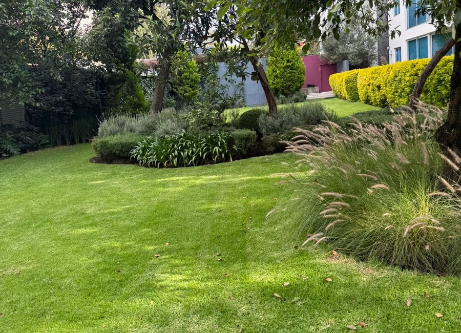 place photo 43