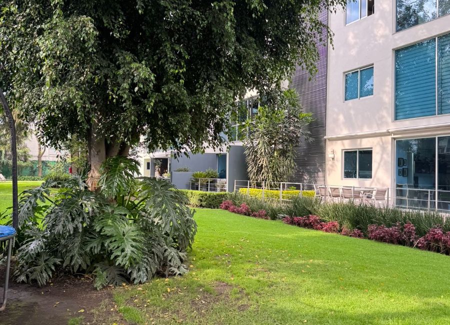 place photo 34