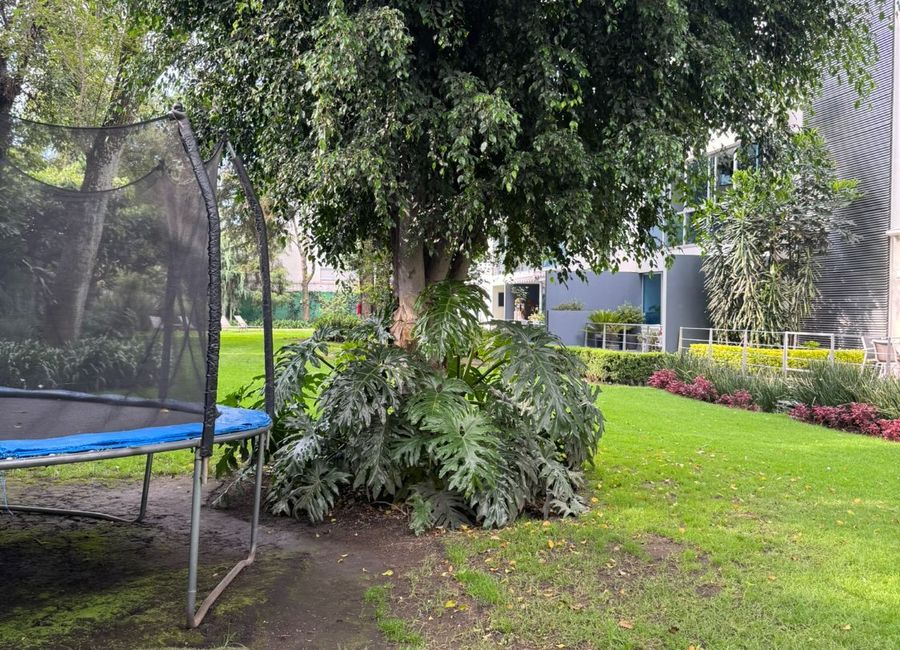 place photo 35