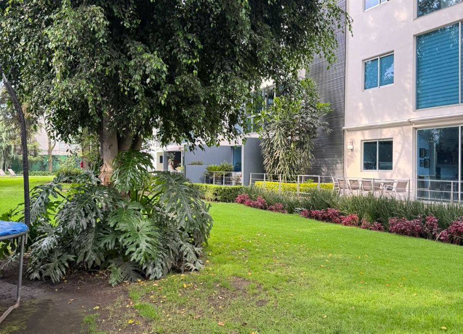 place photo 36