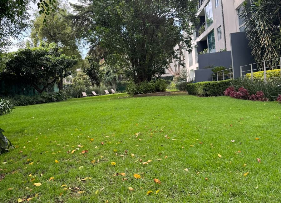 place photo 38