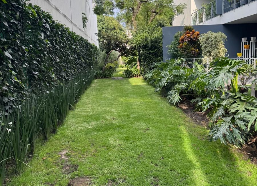 place photo 39