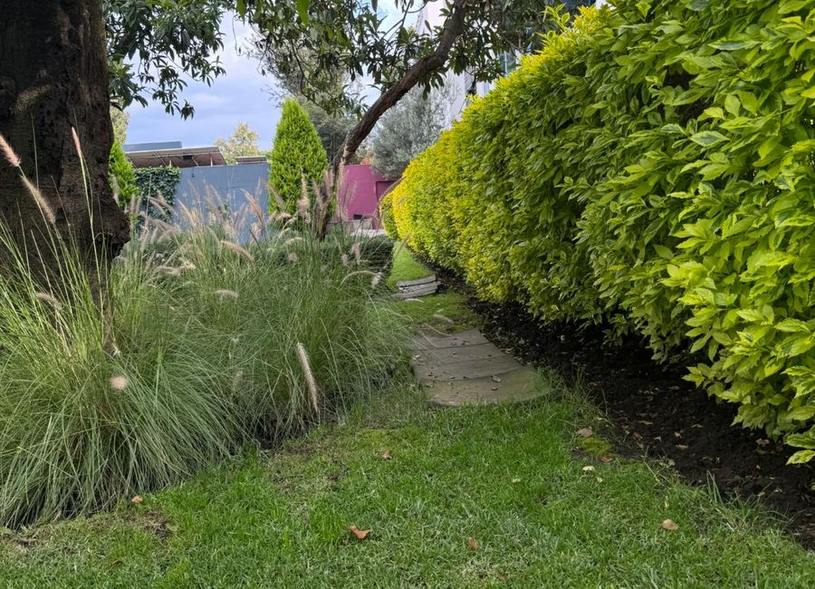 place photo 41