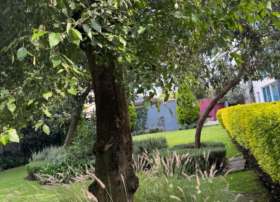 place photo 42