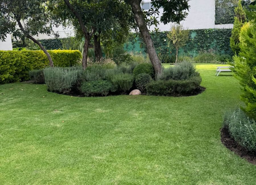 place photo 44