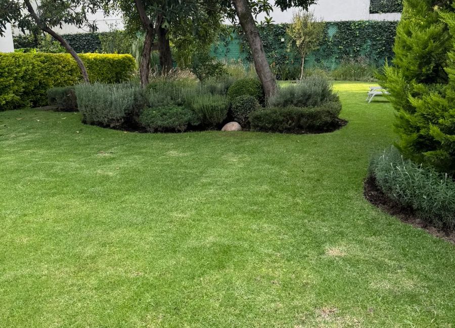 place photo 45