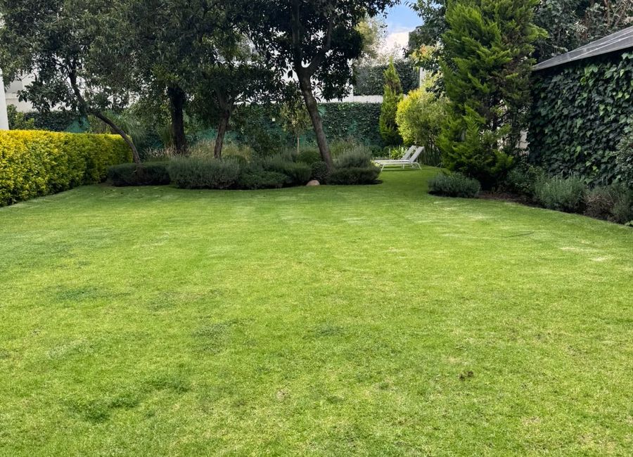 place photo 46