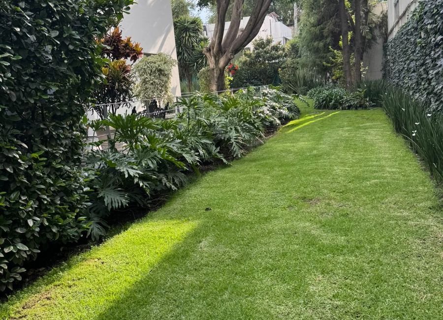 place photo 47