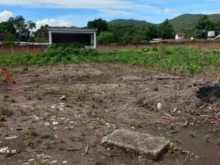 TERRENO COMERCIAL EN RENTA